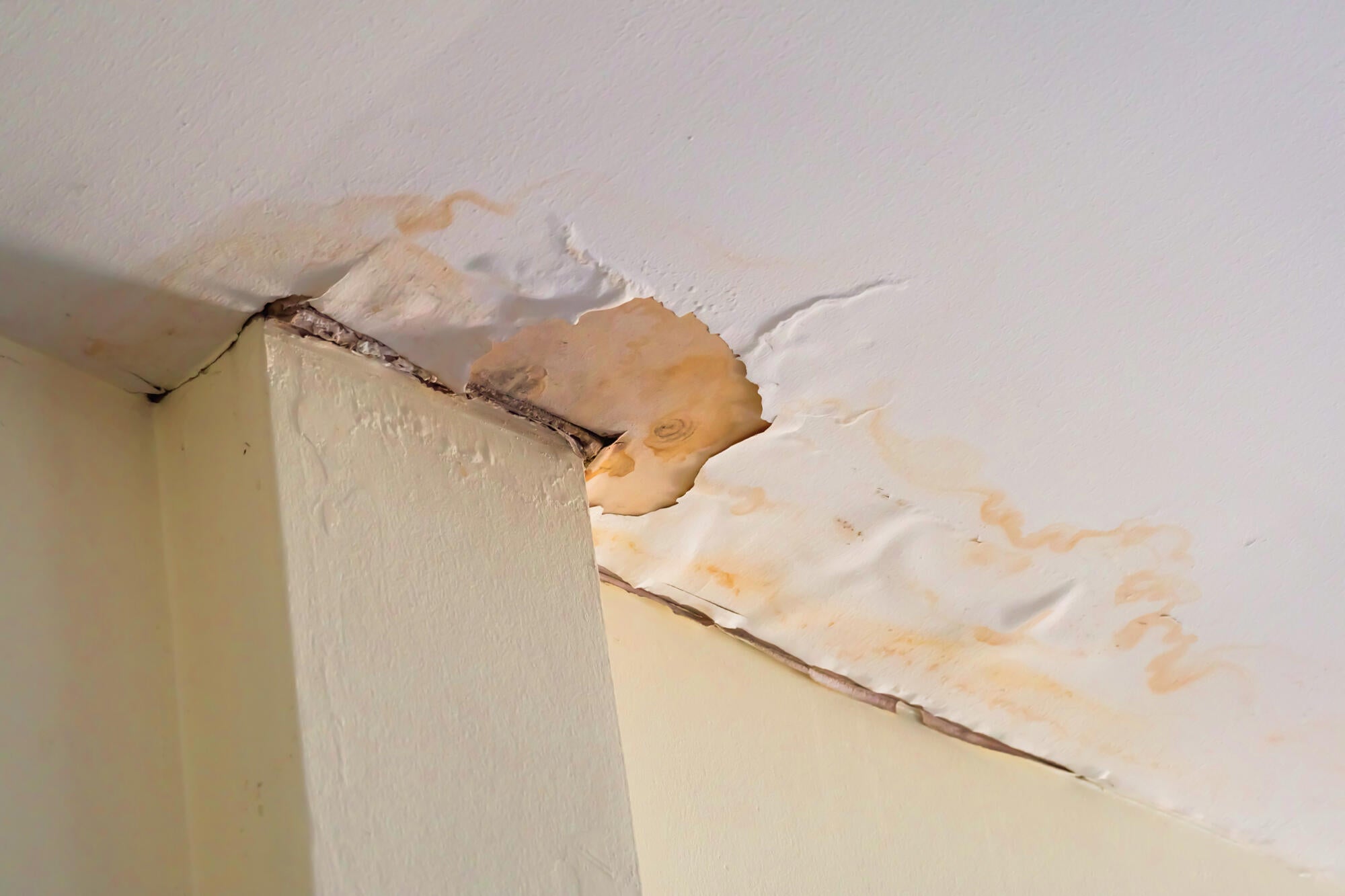 7 Signs You Should Call an Emergency Plumber Now