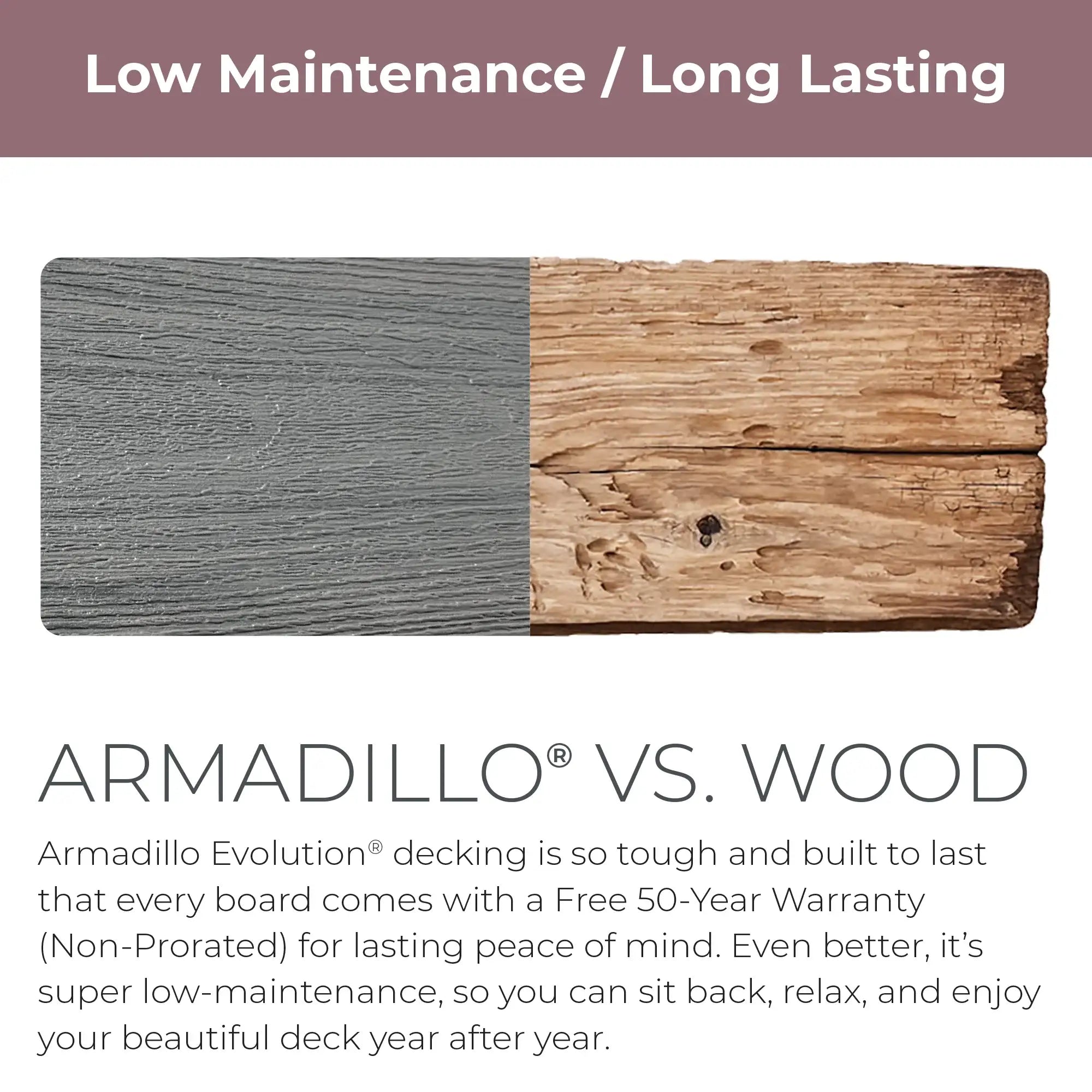 Armadillo Evolution - Solid Steel Wool - Tolutions Supply