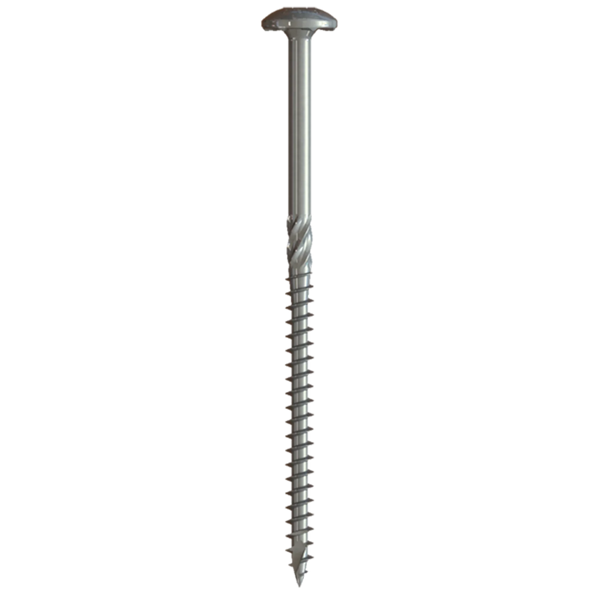 U2 Universal stainless steel screw with a flat rounded head and threaded shank