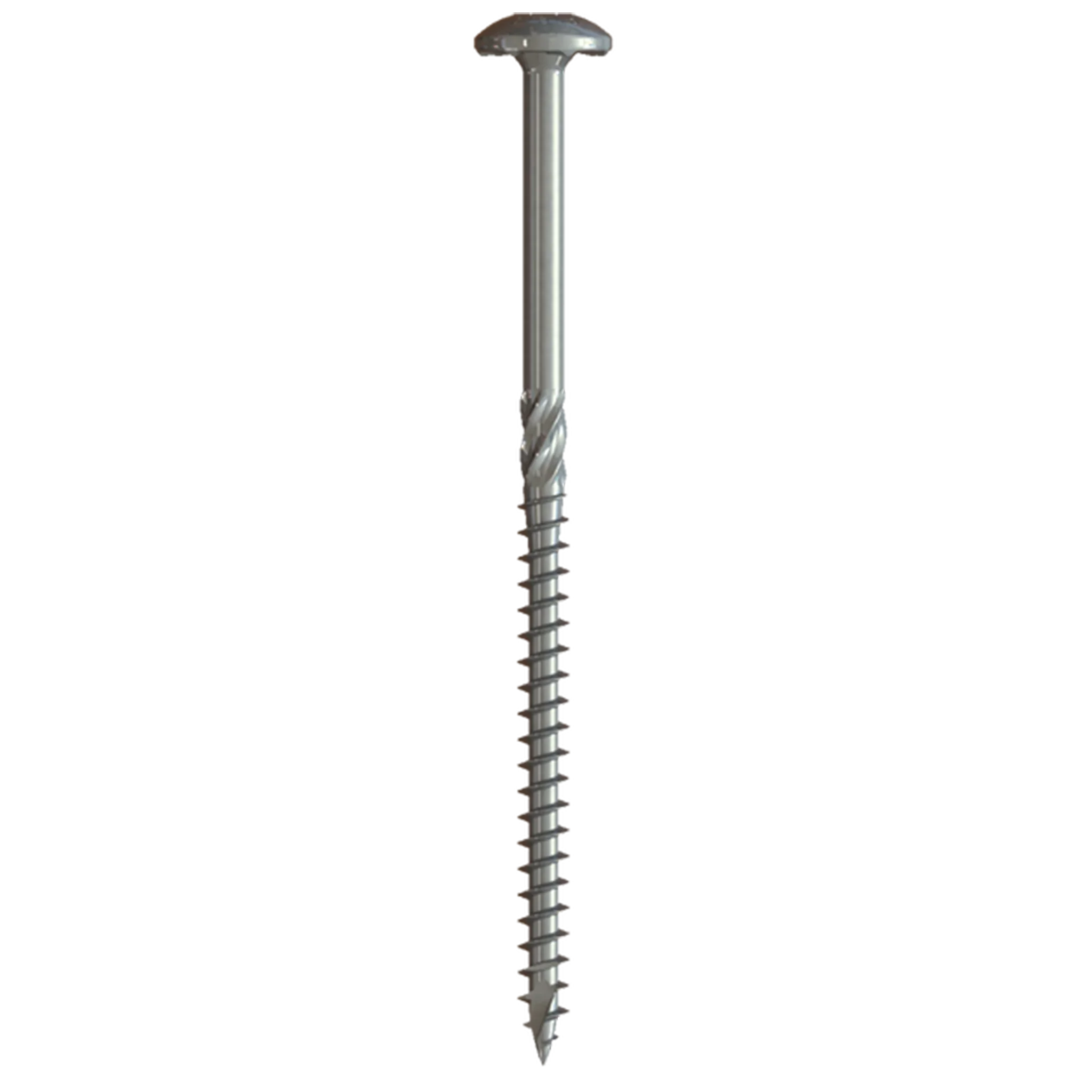 U2 Universal stainless steel screw with a flat rounded head and threaded shank