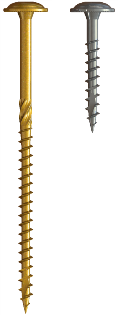 U2 Cap Screws - U-Gold Coating 8 x 1"