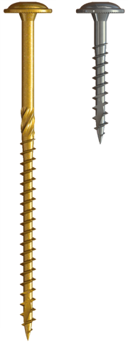 U2 Cap Screws - White Coating 8 x 1"