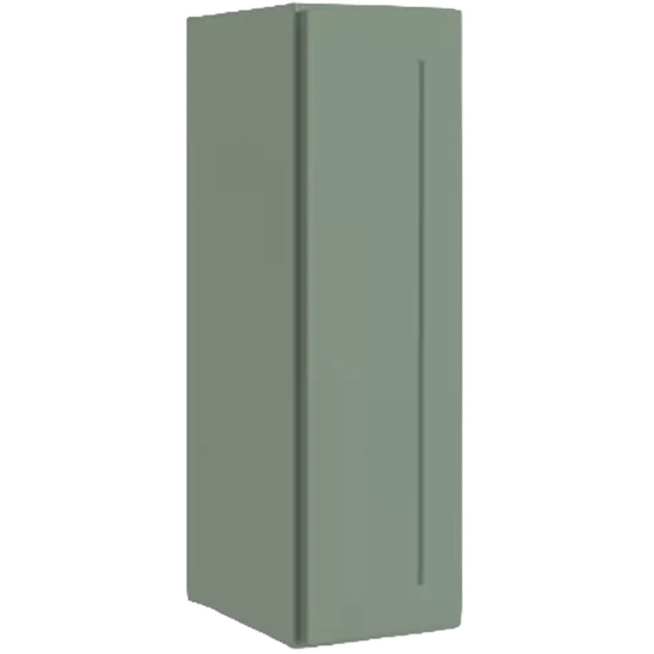 Wall Cabinet 1 Door 2 Shelves - W0930