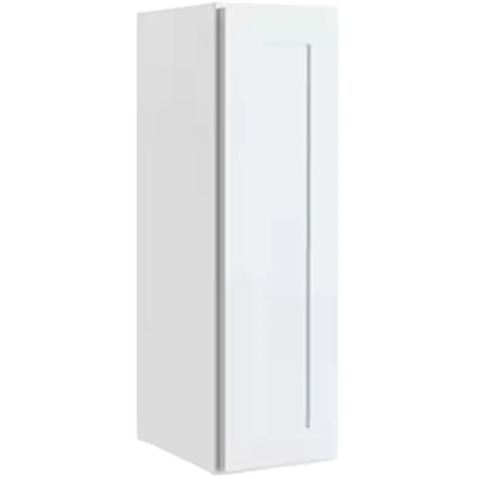 Wall Cabinet 1 Door 2 Shelves - W0930