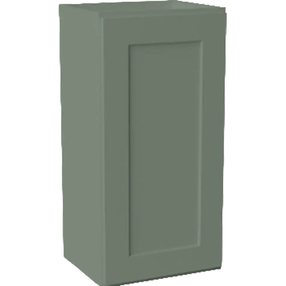 Wall Cabinet 1 Door 2 Shelves - W1530
