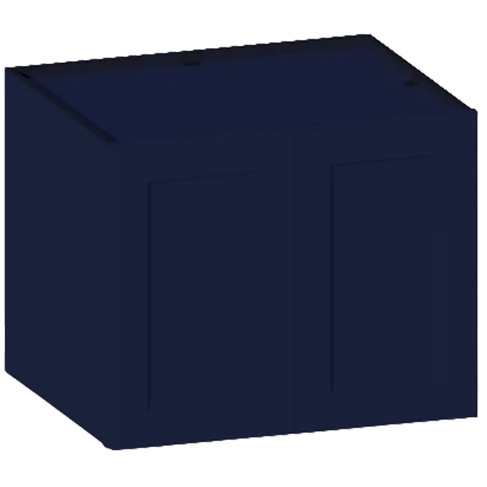 Wall Cabinet, 2 Doors, 1 Shelf - W302424