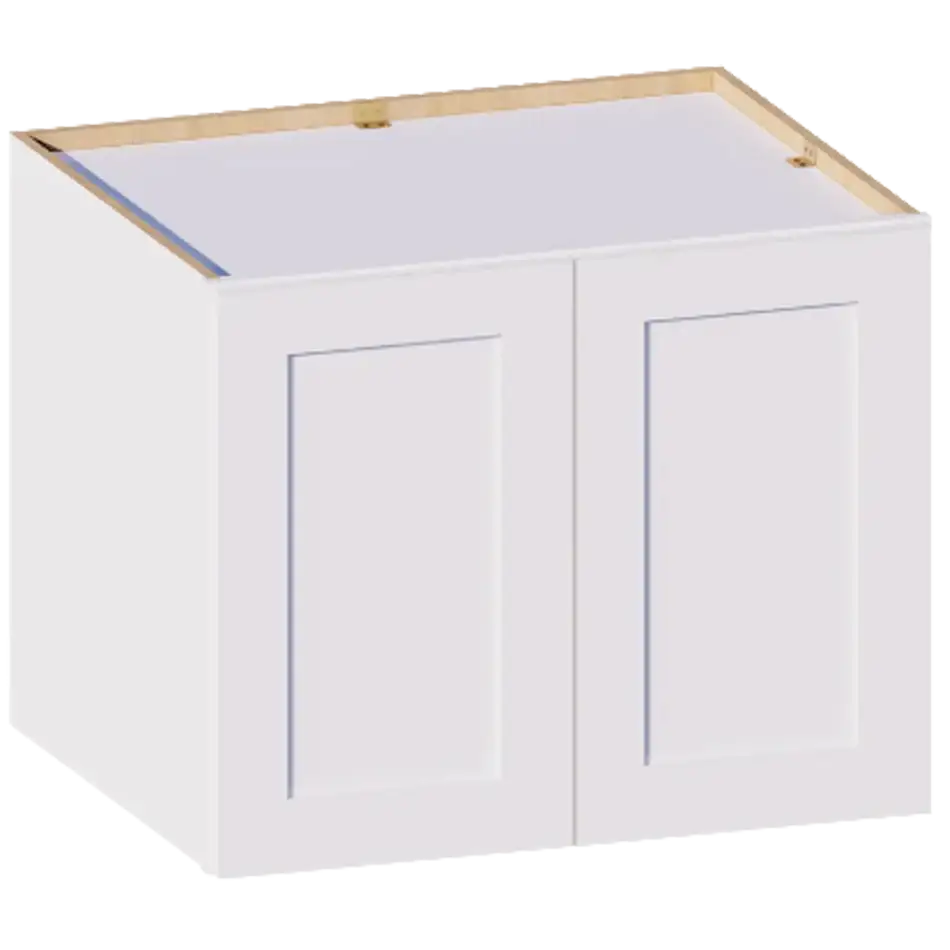 Wall Cabinet, 2 Doors, 1 Shelf - W302424