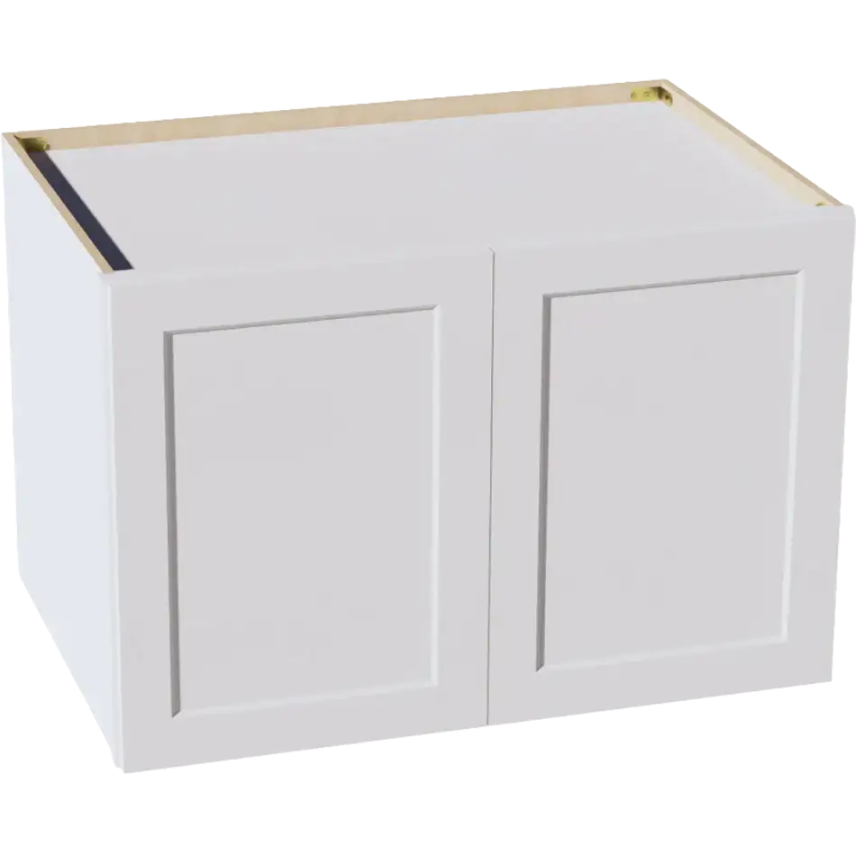 Wall Cabinet, 2 Doors, 1 Shelf - W332424