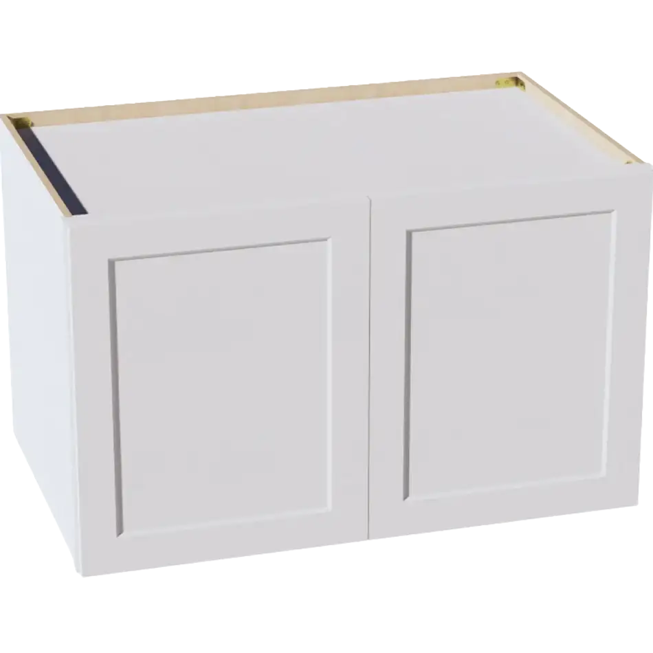 Wall Cabinet, 2 Doors, 1 Shelf - W362424